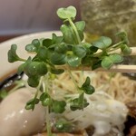 ボニート・ボニート - 