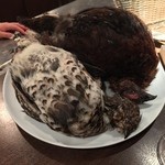 deco - 手前蝦夷雷鳥。後ろスコットランド産雷鳥　