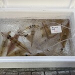 さえ丸おじさんの店 - 