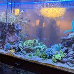 新宿 アクアリウムダイニング JeMare - 