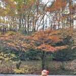 小瀬温泉ホテル - 