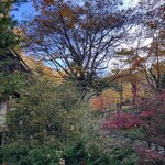 小瀬温泉ホテル - 昨年よりも、より晩秋を感じます