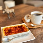 molly - ホットティ＆カタラーナ