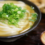 うどん 丸香 - かけ