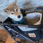 レジーナリゾート軽井沢 御影用水 - 