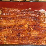 うなぎ 目白ぞろ芽 - 