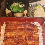 うなぎ 目白ぞろ芽 - 