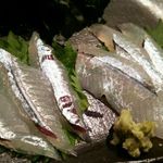 あおい寿司 - 細魚