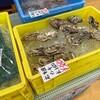 三沢市漁協直売所