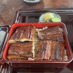 炭焼うなぎ あおいや - 