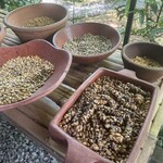 Sari Amerta Iga, Resto & Luwak Coffee - 