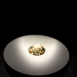 パルコ フィエラ - 