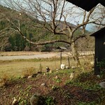くつきそば 永昌庵 - 