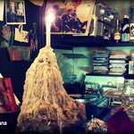 ろぷろぷ - 2014.12　いい感じに育っています。