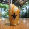 Blue Turtle Farm Mango Cafe
