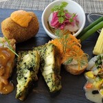 オープチデリス - 