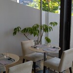 オープチデリス - 