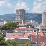 オープチデリス - 