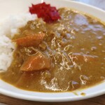 クイックキッチン ケイ - カレー600円(税込み)