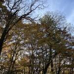 고세 온센 호텔 - 