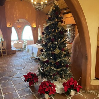 リアス バイ ココチャ_2