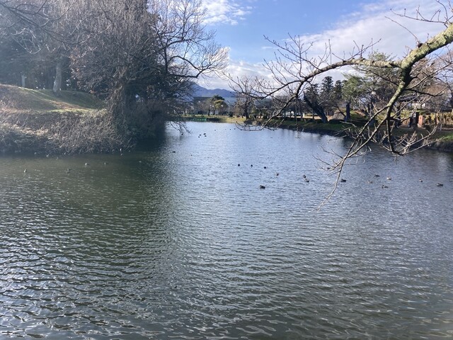 ピーターパン 本店 - 鶴岡（パン）の写真
