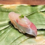 江戸富士 - シマアジ