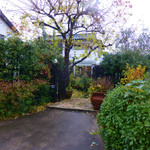 ルーラル・カフェ - ルーラルカフェ