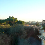 SETTIMO ROMAN CUISINE ANDTERRACE - このボルゲーゼの森をオキナインコが飛んでいました！