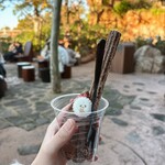 ラケッティのラクーンサルーン - 