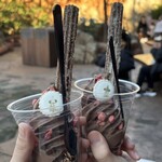 ラケッティのラクーンサルーン - 