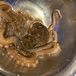 テジョンデ 本店 - 