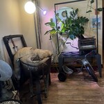 タヴェルナハンバーグ - 