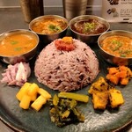 Curry Spice Gelateria KALPASI - 