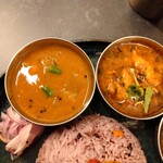 Curry Spice Gelateria KALPASI - 