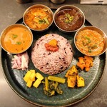 Curry Spice Gelateria KALPASI - 