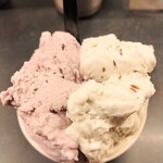 Curry Spice Gelateria KALPASI - 