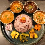 Curry Spice Gelateria KALPASI - 