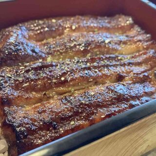 浜名湖うなぎ だいだら