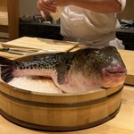 ふぐまどんな - 