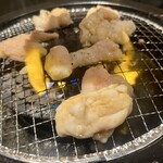 和牛ホルモン一頭買い うしはち 五反田 - シマチョウ・白ホルモン