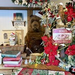 Little Bear Meister - 