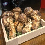 きになるき - 巨大松茸たち