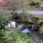 小瀬温泉ホテル - お宿に行く小さな橋が架かる小川