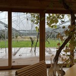 レストランぶどうの森 レ・トネル - 