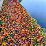 Antique Cafe 穂都璃 - 