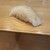 立喰い鮨 優勝 - 料理写真: