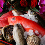 居酒屋うまいもん 本店