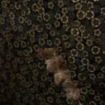 秘伝手羽先唐揚げと地鶏 焼き鳥 和個室 居酒屋 鳥心 - 