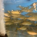 あじ屋でん助 - 